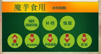 天烨食品科技 结构粉技术引领全素、半素香肠与肉糜制品新风向